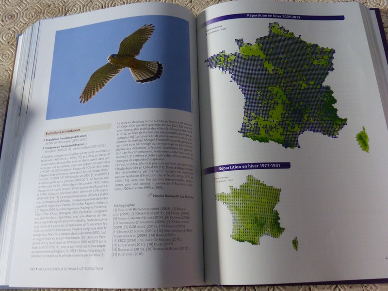 Ptit moineau présente : Atlas des oiseaux de France métropolitaine : nidification et présence hivernale de Nidal Issa et Yves Muller  Copie_73