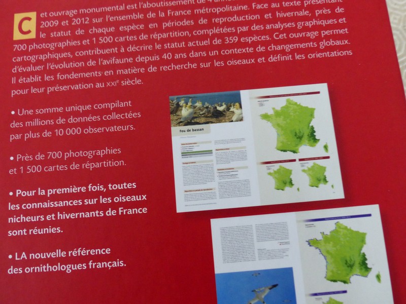 Ptit moineau présente : Atlas des oiseaux de France métropolitaine : nidification et présence hivernale de Nidal Issa et Yves Muller  Copie_75