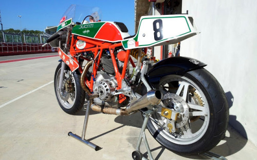 Ducat' Racing  Tumblr17