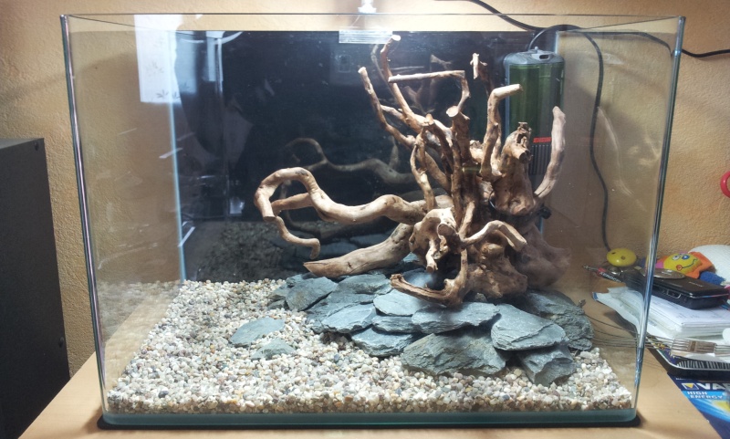 cocoon 7 aquascapé 20160217