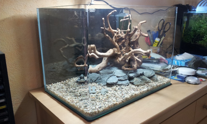 cocoon 7 aquascapé 20160218