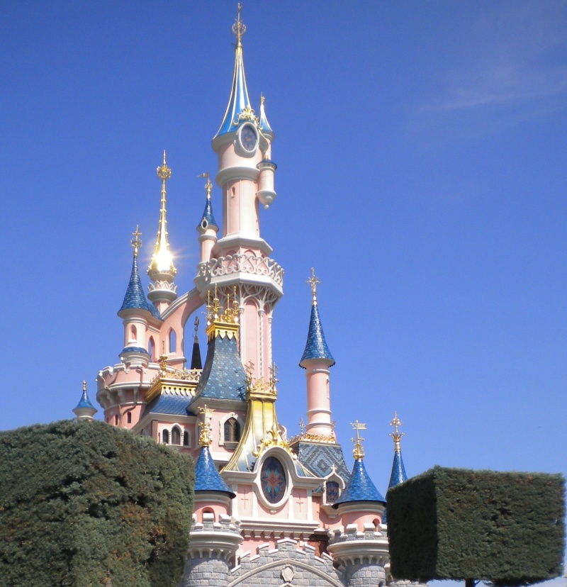 25° Anniversario di Disneyland Paris - Pagina 16 Dscn2710