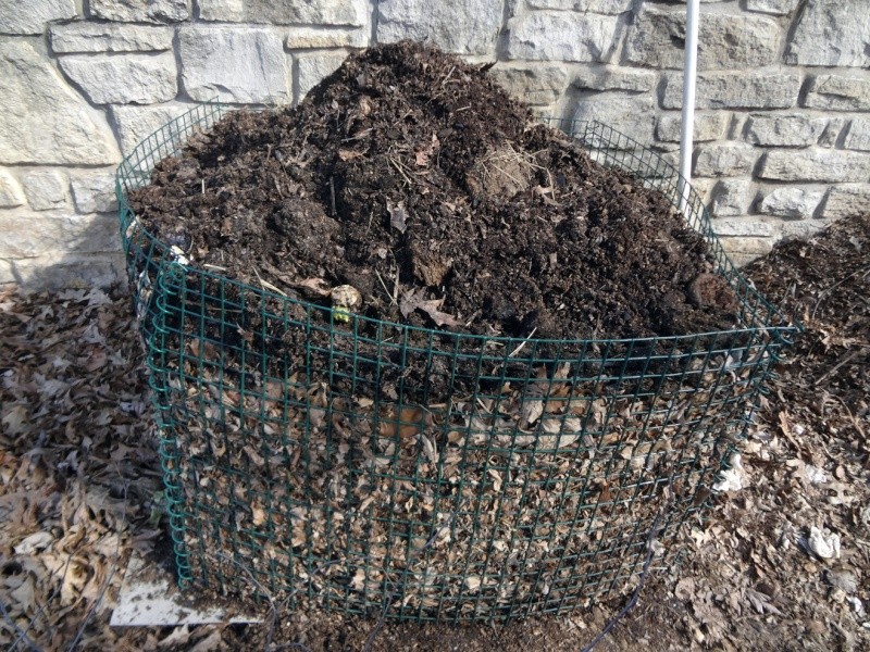 To Compost or not to Compost that is the question... - Page 13 Pile_111