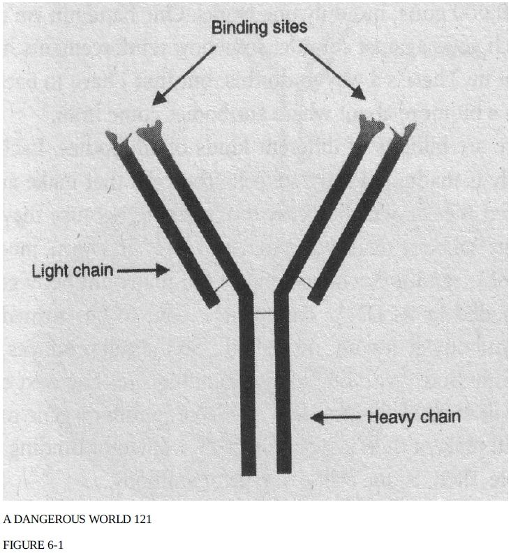 The immune system, and irreducible complexity Schema10