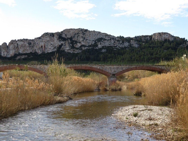 Le Chemin des Bacs Img_1211