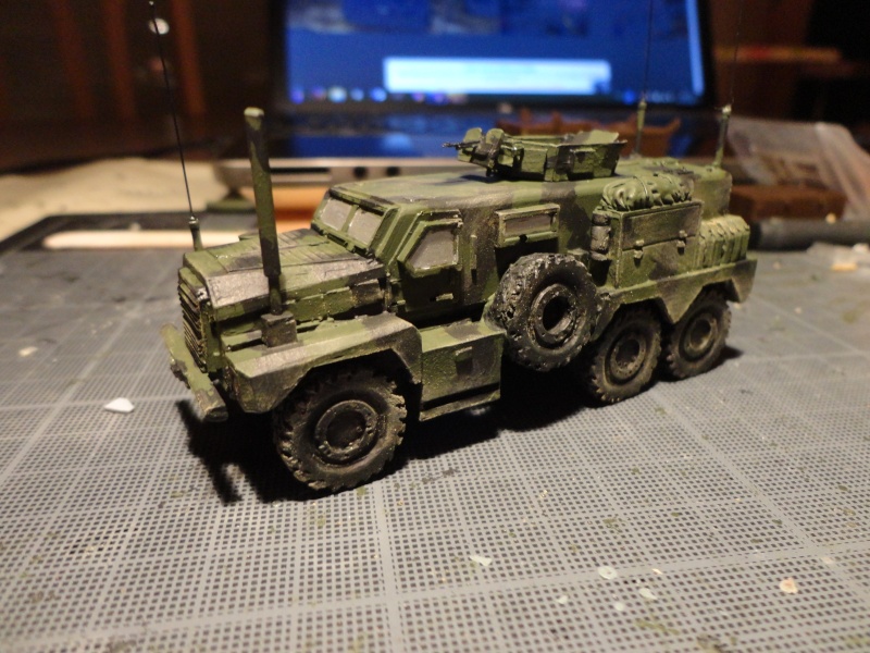 [S&S MODELS] COUGAR MRAP 6x6  Dsc08610