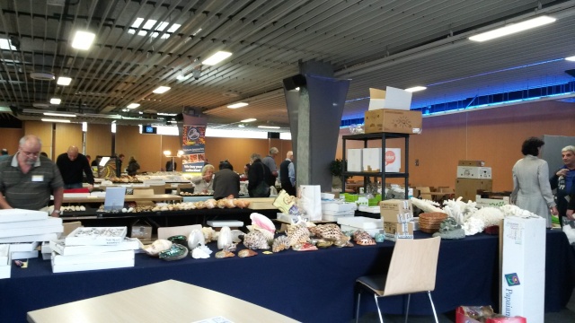 2016 Bourse internationale de Paris - Page 4 20160312