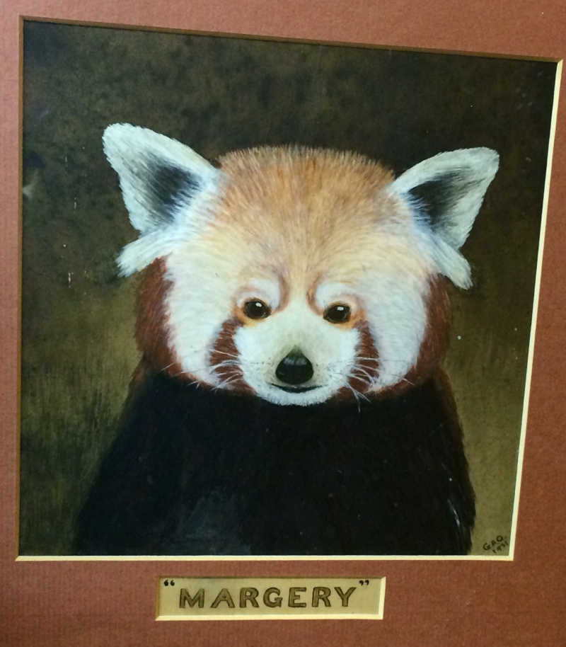 Painting of red panda Image98