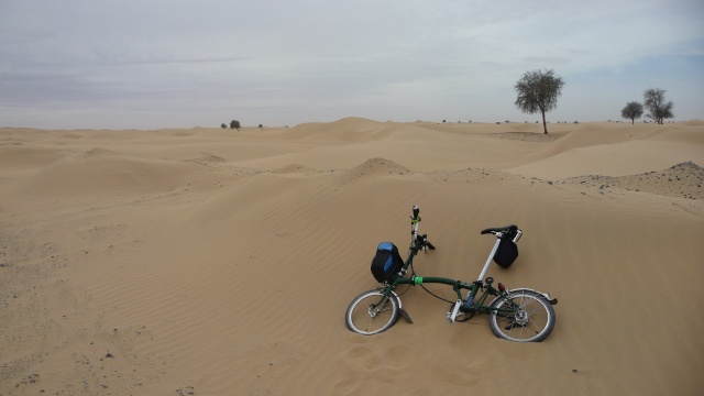Émirats Arabes Unis : balade dans le désert sur l'Al Qudra Road Cycle Path [récit] P1230813