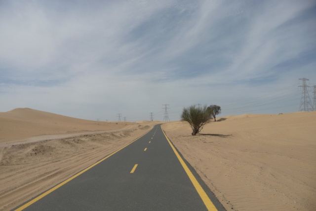 Émirats Arabes Unis : balade dans le désert sur l'Al Qudra Road Cycle Path [récit] P1230914