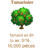 Tamarinier => Tamarin Sans_240