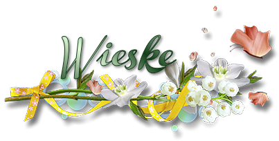Signature printemps 2021 Wieske14