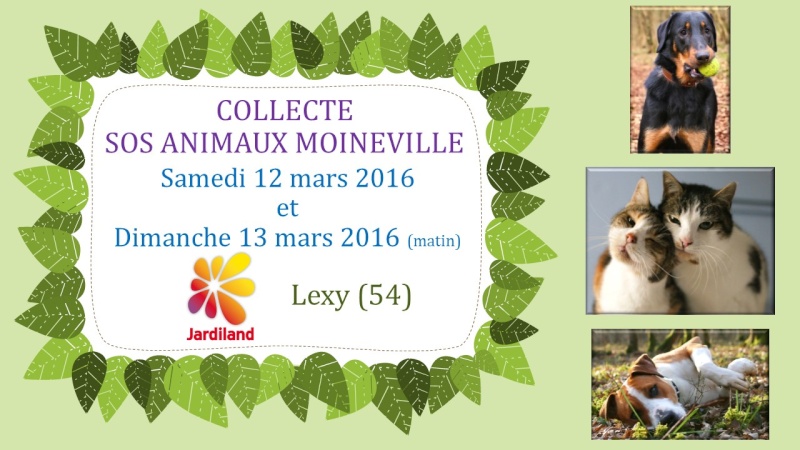 SOS ANIMAUX MOINEVILLE : Collecte Jardiland Lexy (54) les 12 et 13 mars 2016 Diapos10