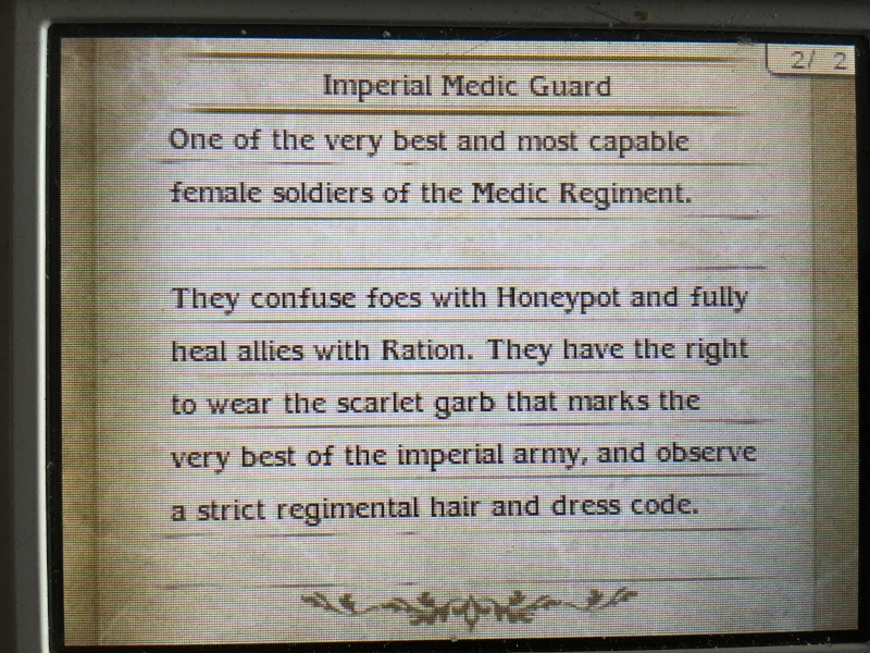 Bravely Second. Image49