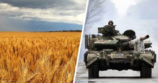 بشرى لفقراء العالم .. روسيا توافق على تصدير القمح الاوكراني 20220510