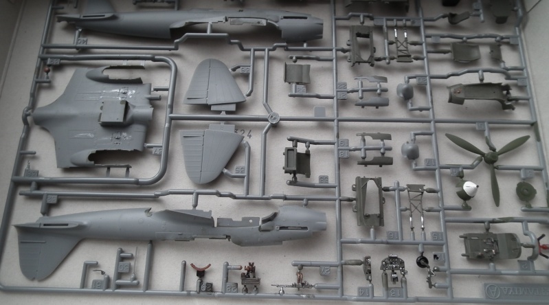 (tamiya) Ilyushin IL 2 shturmovik FINI Dscf5713