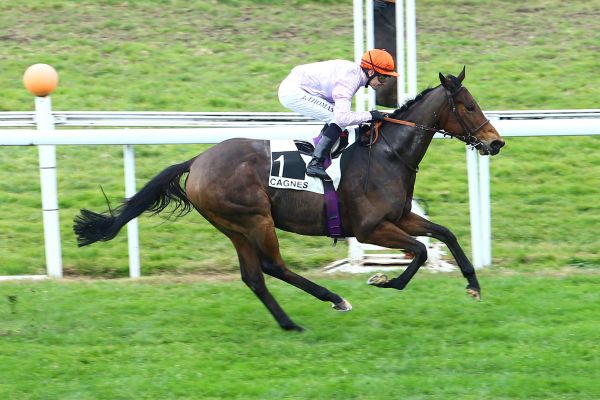  Cagnes-sur-Mer -Quinté- Prix de Sainte-Maxime - Mercredi 24/02/16 5e00d110