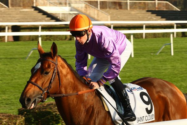 samedi -  Cagnes-sur-Mer -Quinté- Prix d'Antibes - Samedi 20/02/16 9fc91f10