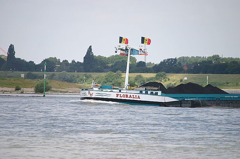 Kleiner Rheinbummel in Duisburg-Ruhrort und Umgebung - Sammelbeitrag - Seite 2 Img_7070