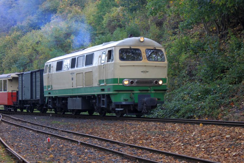 Brohltalbahn - Besuch am 27.10.22, Lok D5 und Lokschuppen Img_9055