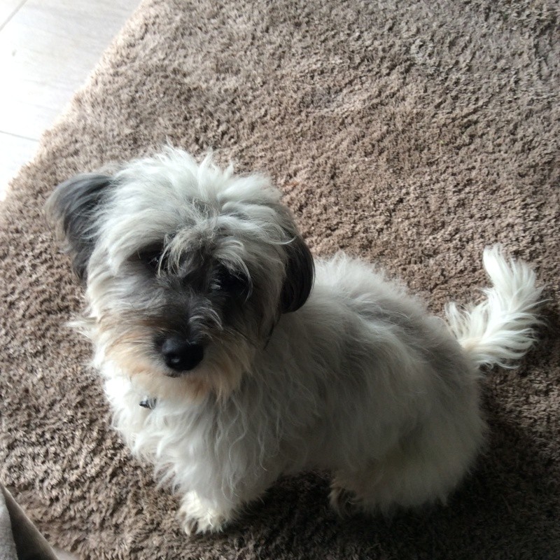 LULU (Loupia) Loupia10
