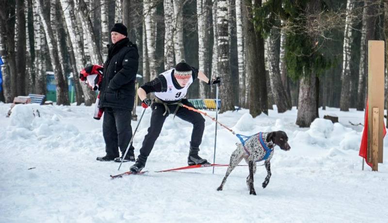 1-2 марта 2014 Нижний Новгород.  Чемпионат России по зимним видам кинологического спорта гонка-буксирова, биатлон  05uwdh10