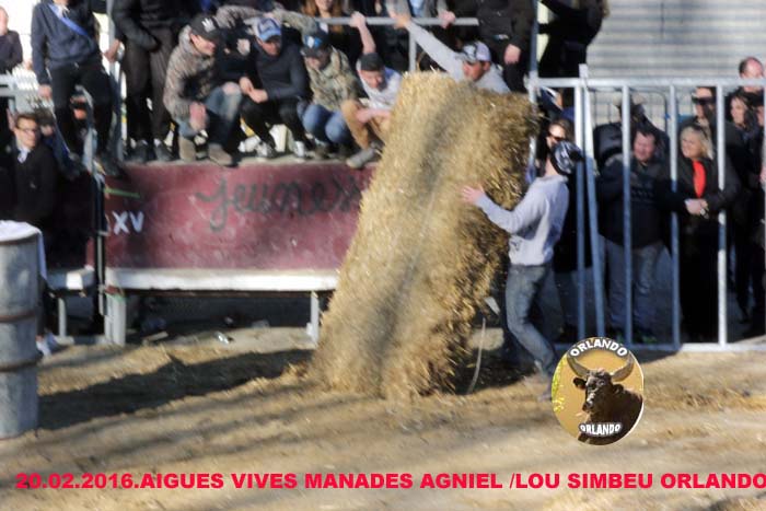 20..02..2016...AIGUES-VIVES _mg_0111