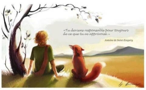 Le Petit Prince De Antoine De Saint Exupery