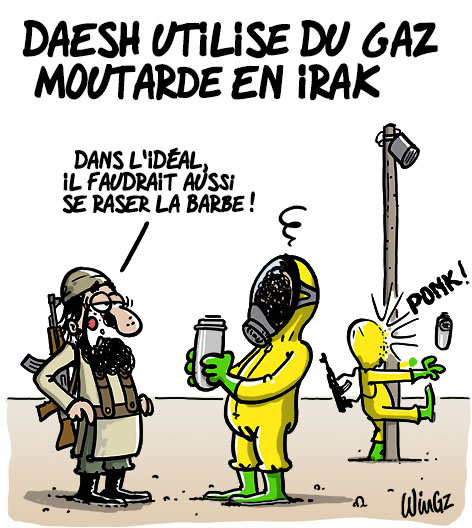 Actu en dessins de presse - Attention: Quelques minutes pour télécharger - Page 6 Daesh-10