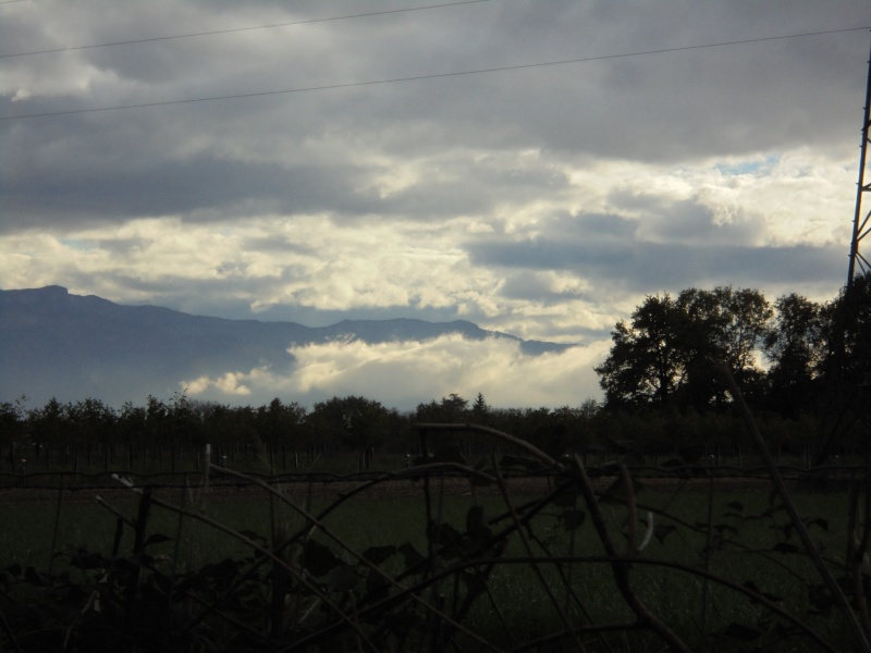 « Parfois les nuages reposent les gens d’admirer la lune » - Page 6 Dsc00212