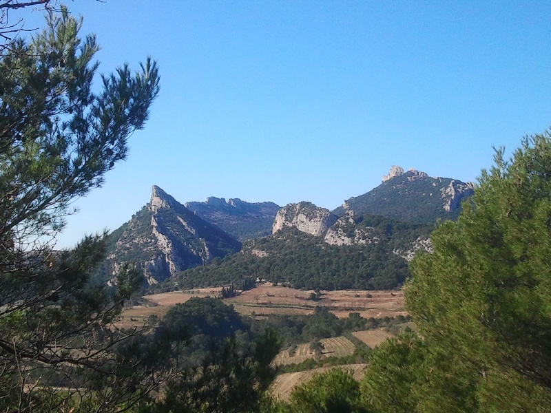 Aujourd'hui ca tournait autour du géant de Provence  . Photo315
