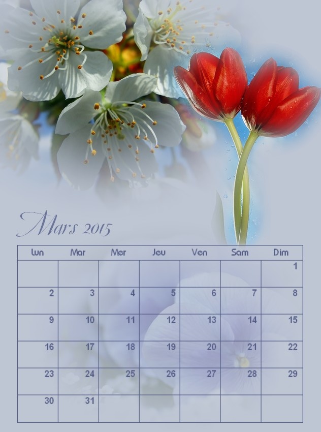 CALENDRIERS ORIGINAUX DES MOIS DE L ANNEE PAR ORDRE ALPHABETIQUE - Page 15 A_mars10