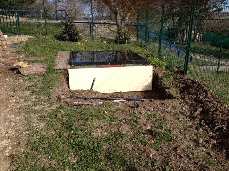 Construction d'un second bassin pour nénuphars... Img_2612