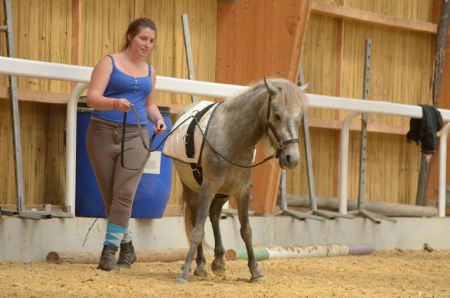 L'équitation sans mors - Page 4 10409710