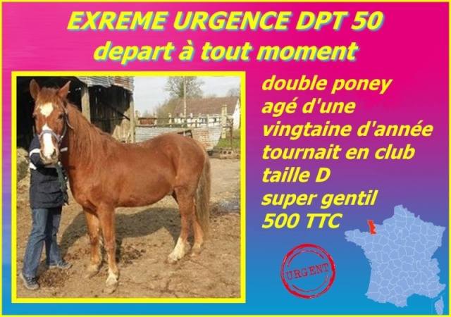 Double poney, 20 ans, depart a tout moment dep50 12768310