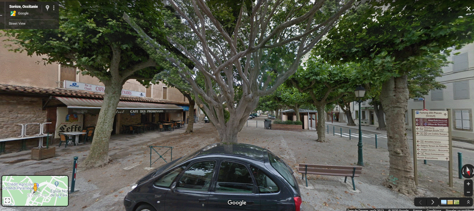 Essence d'arbre, Sydney - Australie [C'est quoi ?] Figus_10