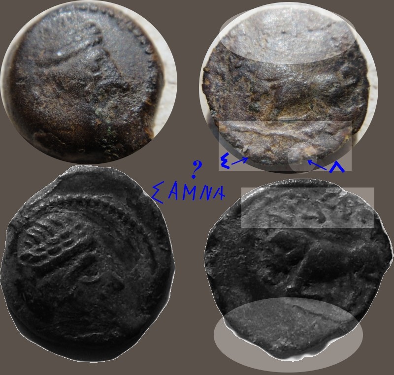 Bronze au Taureau SAMNAGENSES Buse_s10