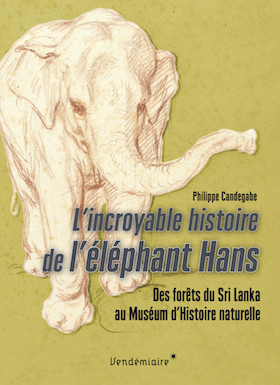 L'incroyable histoire de l'éléphant Hans, de Philippe Candegabe L_incr10