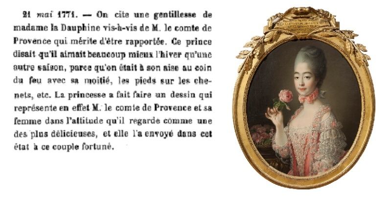 Mémoires secrets pour servir à l'histoire de la République des Lettres en France depuis 1762 jusqu'à nos jours  Bach910