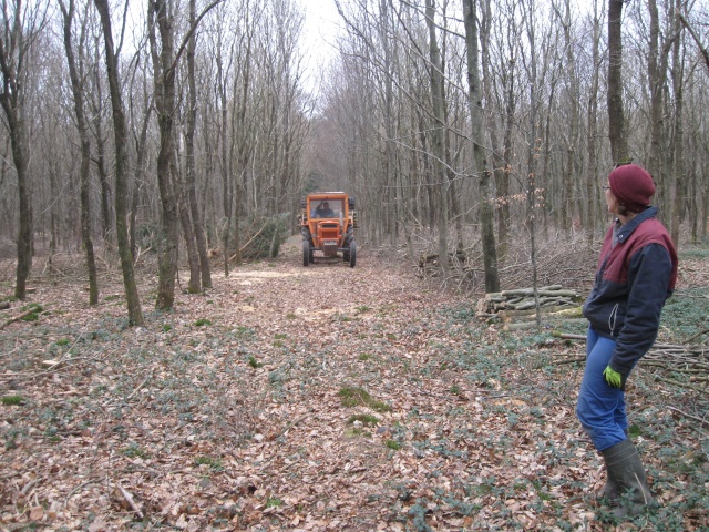 journée de débardage  Bois_d13