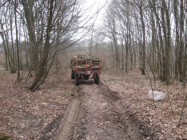 journée de débardage  Bois_d16