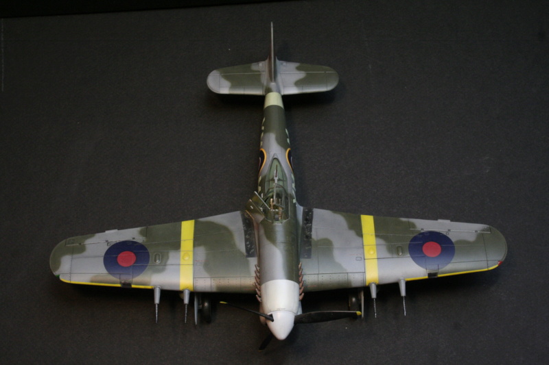1/48 Hawker Typhoon Eduard / Hasegawa _mg_5910
