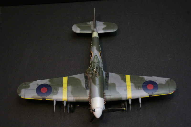 *1/48   Hawker Typhoon   Eduard / Hasegawa _mg_5910