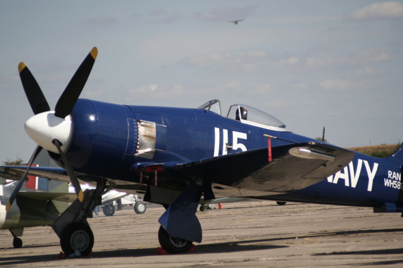 1/48 Hawker Sea Fury Airfix _mg_6314