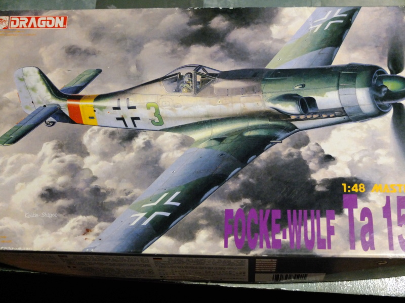 1/48 TA 152 H-1 Dragon Dscf5424