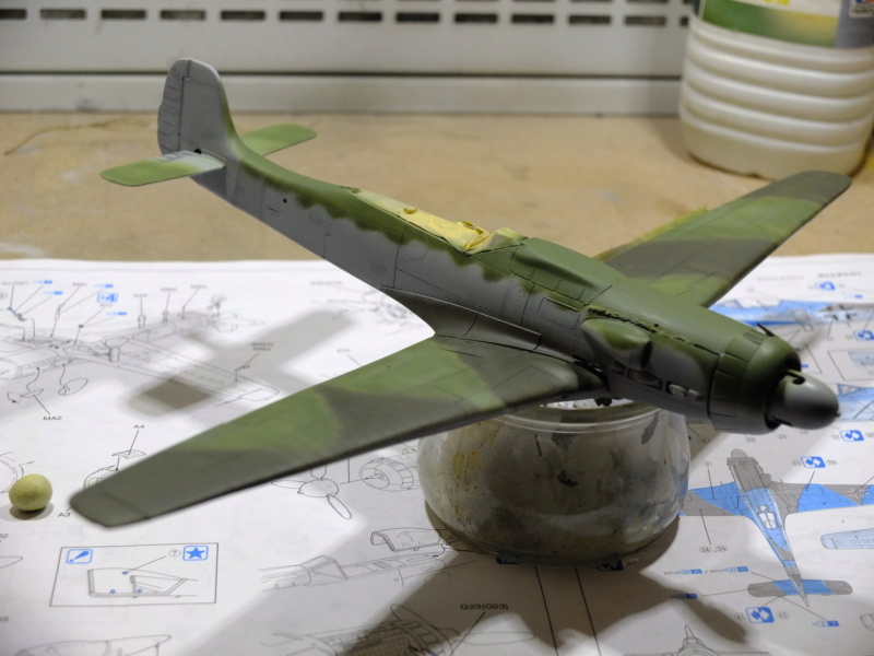 1/48 TA 152 H-1 Dragon - Page 2 Dscf5510