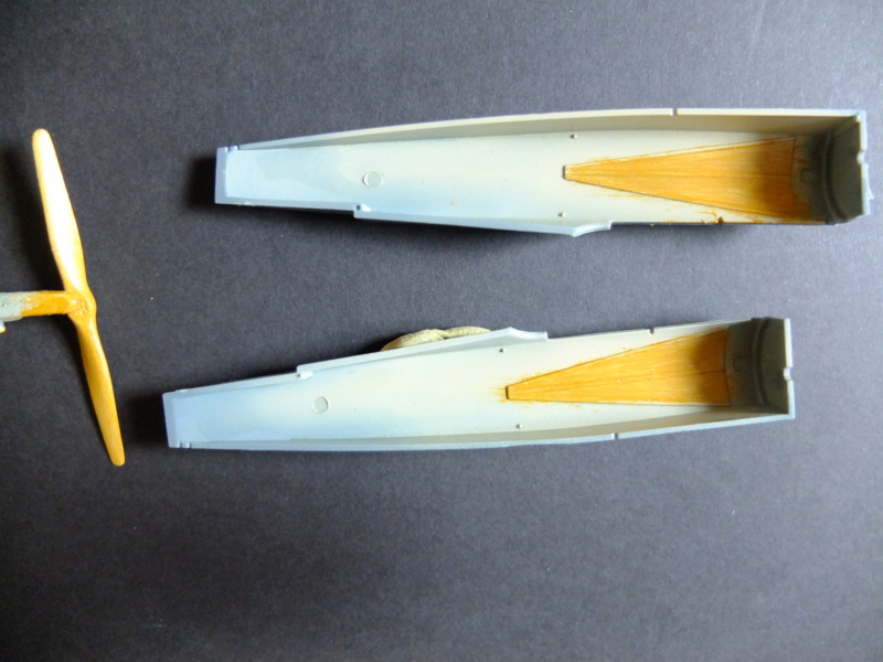 1/48 Fokker D VIII Eduard Dscf5623