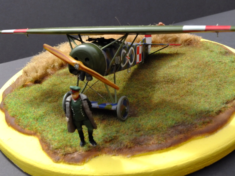 * 1/48  Fokker D VIII  Eduard - Page 3 Dscf5811