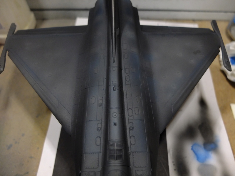 1/48 Rafale Proto C01 Hobby boss - Page 3 Dscf6137