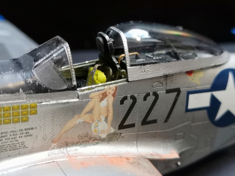 *1/48  P 51 D Mustang Eduard - Page 3 Img_2065